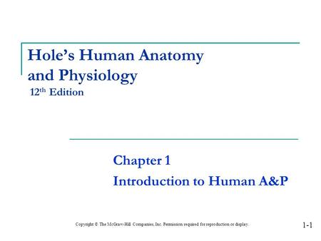 Hole’s Human Anatomy and Physiology 12th Edition