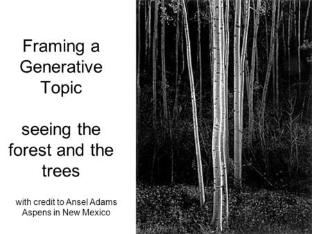 Framing a Generative Topic seeing the forest and the trees with credit to Ansel Adams Aspens in New Mexico.