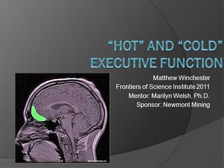 Matthew Winchester Frontiers of Science Institute 2011 Mentor: Marilyn Welsh, Ph.D. Sponsor: Newmont Mining