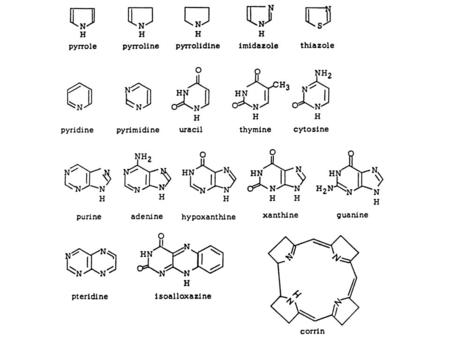 PRPP synthetase Nucleoside phosphorylases Phosphoribosyl transferases.