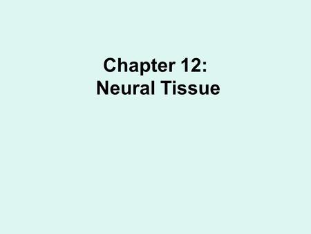 Chapter 12: Neural Tissue