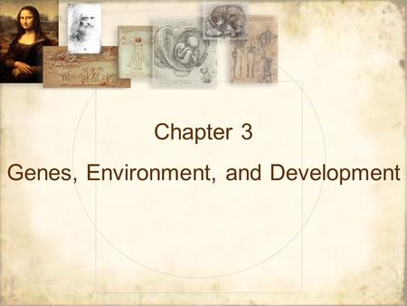 Chapter 3 Genes, Environment, and Development