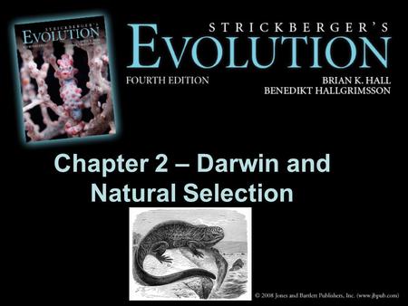 Chapter 2 – Darwin and Natural Selection. Charles Darwin (1809-1882) –An avid hunter, with strong interests in collecting, geology and botany. –At age.