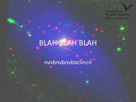 BLAH BLAH BLAH nvvbnvbnvbncvncn. Abstract A complete sample of point source emissions in the spiral type galaxies NGC300 and M31 have been catalogued.