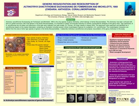 GENERIC RESUSCITATION AND REDESCRIPTION OF ACTINOTRYX SANCTITHOMAE DUCHASSAING DE FOMBRESSIN AND MICHELOTTI, 1860 (CNIDARIA: ANTHOZOA: CORALLIMORPHARIA)