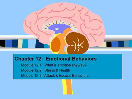 Chapter 12: Emotional Behaviors