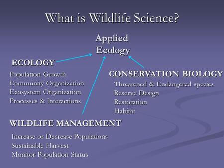 What is Wildlife Science? ECOLOGY CONSERVATION BIOLOGY WILDLIFE MANAGEMENT Threatened & Endangered species Reserve Design RestorationHabitat Population.