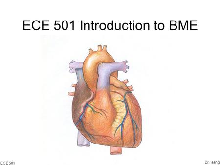 ECE 501 Introduction to BME