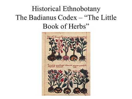 Historical Ethnobotany The Badianus Codex – “The Little Book of Herbs”