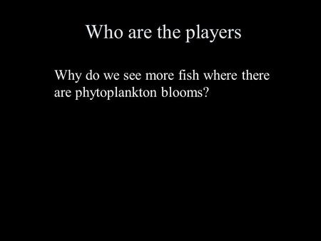 Who are the players Why do we see more fish where there are phytoplankton blooms?