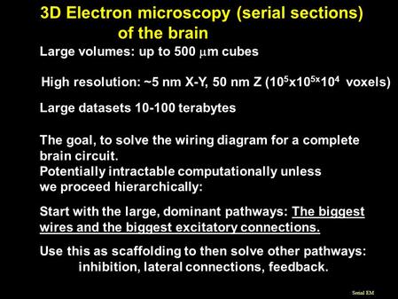 Serial EM 3D Electron microscopy (serial sections) of the brain Large datasets 10-100 terabytes High resolution: ~5 nm X-Y, 50 nm Z (10 5 x10 5x 10 4 x.