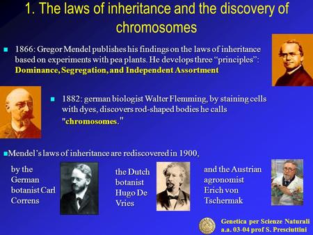 Genetica per Scienze Naturali a.a. 03-04 prof S. Presciuttini 1. The laws of inheritance and the discovery of chromosomes 1866: Gregor Mendel publishes.