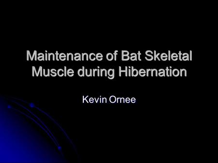 Maintenance of Bat Skeletal Muscle during Hibernation Kevin Ornee.