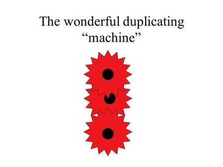 The wonderful duplicating “machine” A briefe history of the cell cycle 18xx Interphase-Mitosis (Flemming) 1951 Discovery of a distinct S-phase (Howard.