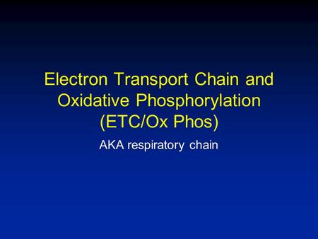 Electron Transport Chain and Oxidative Phosphorylation (ETC/Ox Phos) AKA respiratory chain.