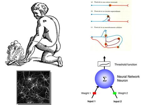 When an axon of cell A is near enough to excite cell B and repeatedly or persistently takes part in firing it, some growth process or metabolic change.