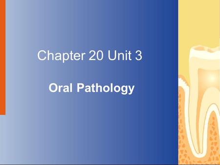 Copyright © 2004 by Delmar Learning, a division of Thomson Learning, Inc. ALL RIGHTS RESERVED. 1 Chapter 20 Unit 3 Oral Pathology.