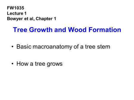 Tree Growth and Wood Formation