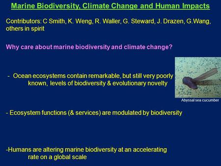 Marine Biodiversity, Climate Change and Human Impacts Contributors: C Smith, K. Weng, R. Waller, G. Steward, J. Drazen, G.Wang, others in spirit Why care.