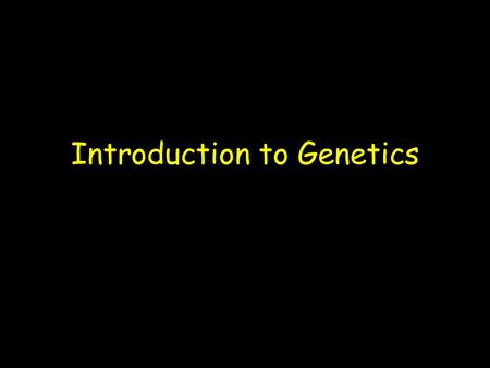 Introduction to Genetics