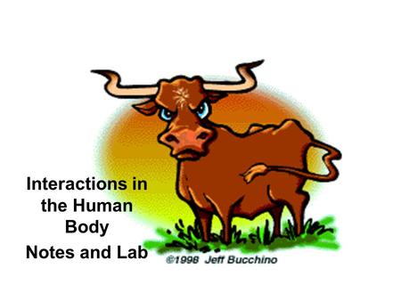 Interactions in the Human Body Notes and Lab. Your Task Design and test a model of a negative feedback system to maintain the temperature of water in.