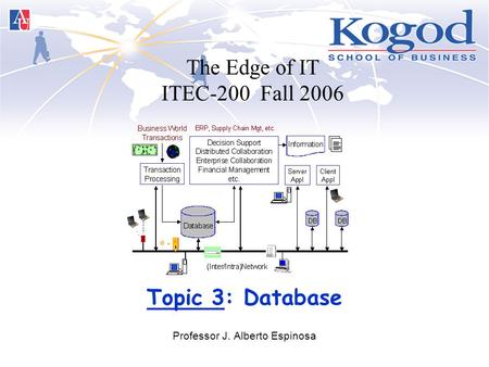 Topic 3: Database Professor J. Alberto Espinosa The Edge of IT ITEC-200 Fall 2006.