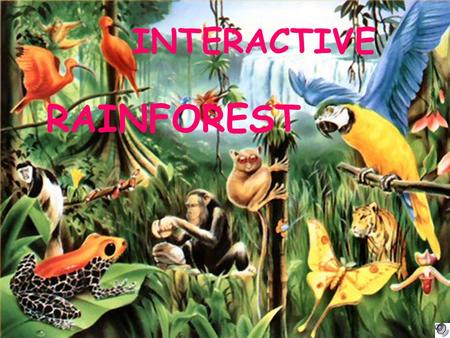 INTERACTIVE RAINFOREST.