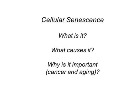 Cellular Senescence What is it? What causes it? Why is it important (cancer and aging)?