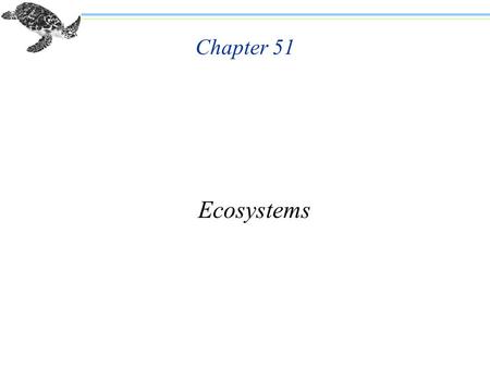 Chapter 51 Ecosystems. Chapter 51 Ecosystems n Many global environmental problems have emerged recently. n Ecosystems consist of all the organisms that.