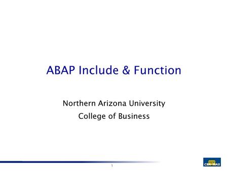 1 ABAP Include & Function Northern Arizona University College of Business.