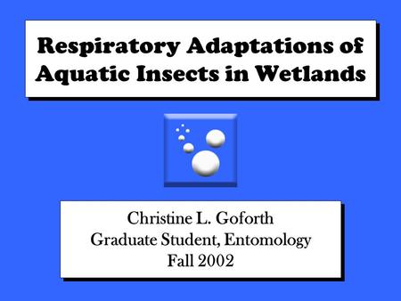 Respiratory Adaptations of Aquatic Insects in Wetlands Christine L. Goforth Graduate Student, Entomology Fall 2002 Christine L. Goforth Graduate Student,