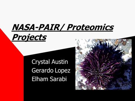 NASA-PAIR/ Proteomics Projects Crystal Austin Gerardo Lopez Elham Sarabi.