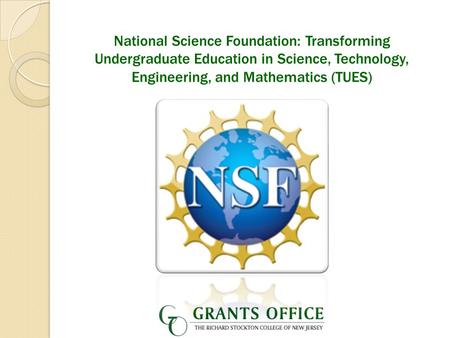 National Science Foundation: Transforming Undergraduate Education in Science, Technology, Engineering, and Mathematics (TUES)