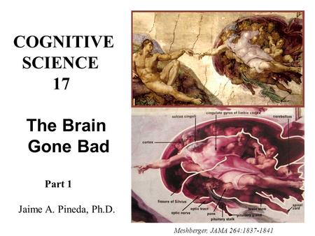 COGNITIVE SCIENCE 17 The Brain Gone Bad Part 1 Jaime A. Pineda, Ph.D. Meshberger, JAMA 264:1837-1841.