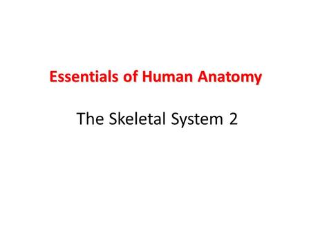 Essentials of Human Anatomy The Skeletal System 2