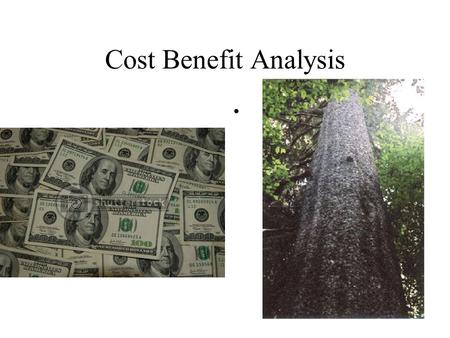 Cost Benefit Analysis Executive Order 12291 RIA for all new regulations Benefits > Costs Office of Information and Regulatory Affairs (OIRA) in OMB 1984-