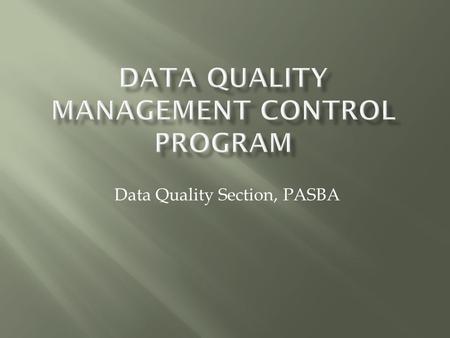 Data Quality Management Control Program