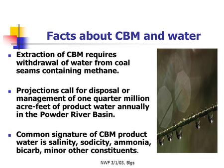 NWF 3/1/03, Blgs Facts about CBM and water Extraction of CBM requires withdrawal of water from coal seams containing methane. Projections call for disposal.