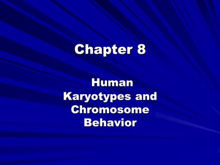 Chapter 8 Human Karyotypes and Chromosome Behavior