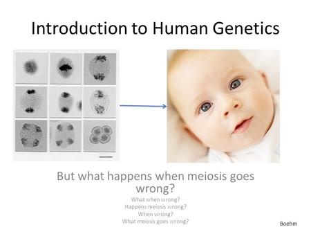 Introduction to Human Genetics