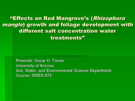 “Effects on Red Mangrove’s (Rhizophora mangle) growth and foliage development with different salt concentration water treatments” Presents: Oscar H. Torres.