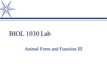 BIOL 1030 Lab Animal Form and Function III. Lab 5 Review 1 Identify the structures indicated.