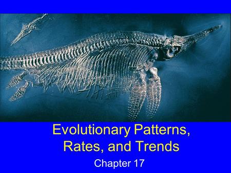 Evolutionary Patterns, Rates, and Trends