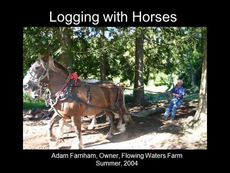 Logging with Horses Adam Farnham, Owner, Flowing Waters Farm Summer, 2004.