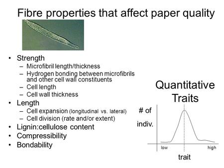 Fibre properties that affect paper quality Strength –Microfibril length/thickness –Hydrogen bonding between microfibrils and other cell wall constituents.