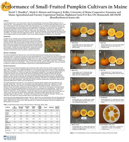 Performance of Small-Fruited Pumpkin Cultivars in Maine David T. Handley*, Mark G. Hutton and Gregory J. Koller, University of Maine Cooperative Extension.