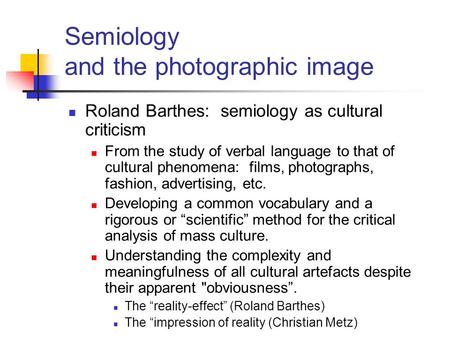 Semiology and the photographic image