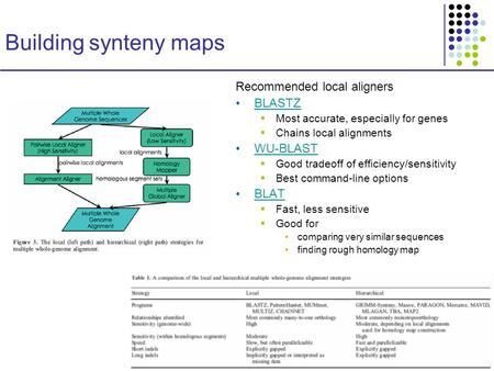 Building synteny maps Recommended local aligners BLASTZ  Most accurate, especially for genes  Chains local alignments WU-BLAST  Good tradeoff of efficiency/sensitivity.