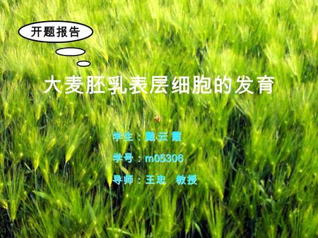 大麦胚乳表层细胞的发育 学生：戴 云 霞 学号： m05306 导师：王忠 教授 开题报告. 1 、选题的依据 2 、研究目的和意义 3 、试验材料与方法 4 、研究计划及预期研究结果 目录：