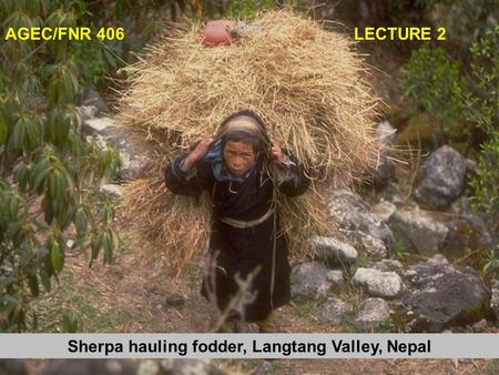 AGEC/FNR 406 LECTURE 2 Sherpa hauling fodder, Langtang Valley, Nepal.